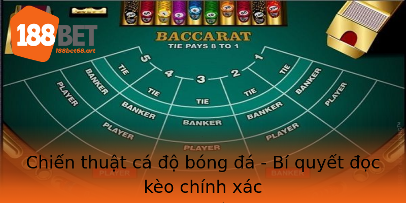 Chiến thuật cá độ bóng đá - Bí quyết đọc kèo chính xác